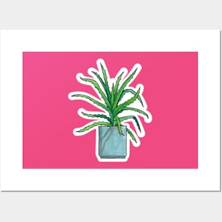 Aloe Vera - Houseplant Watercolour Posters and Art